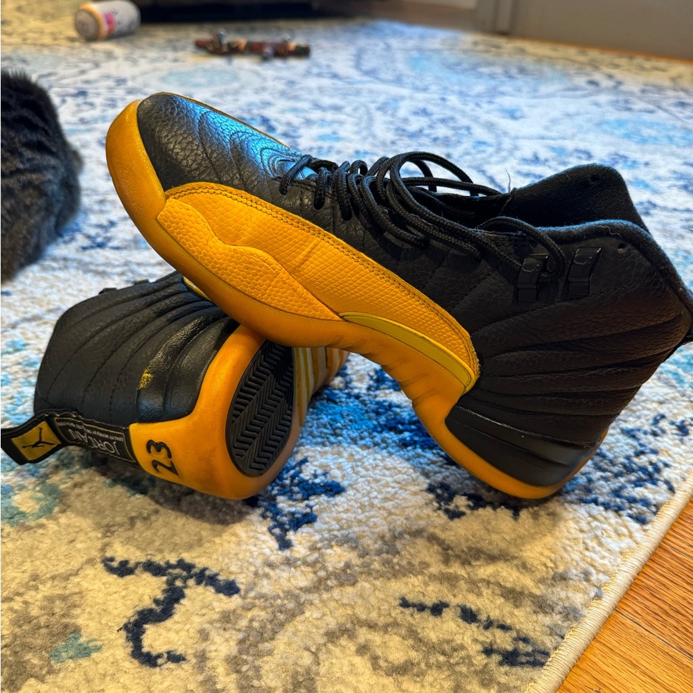 Jordan 12 retro